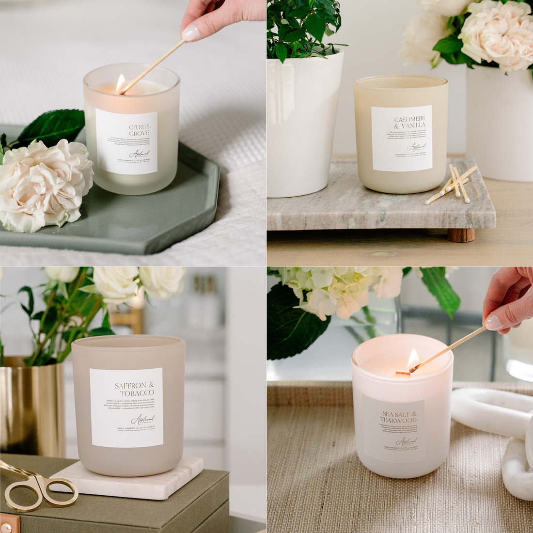 Nontoxic Best Sellers Bundle in Luxury Colored Vessels