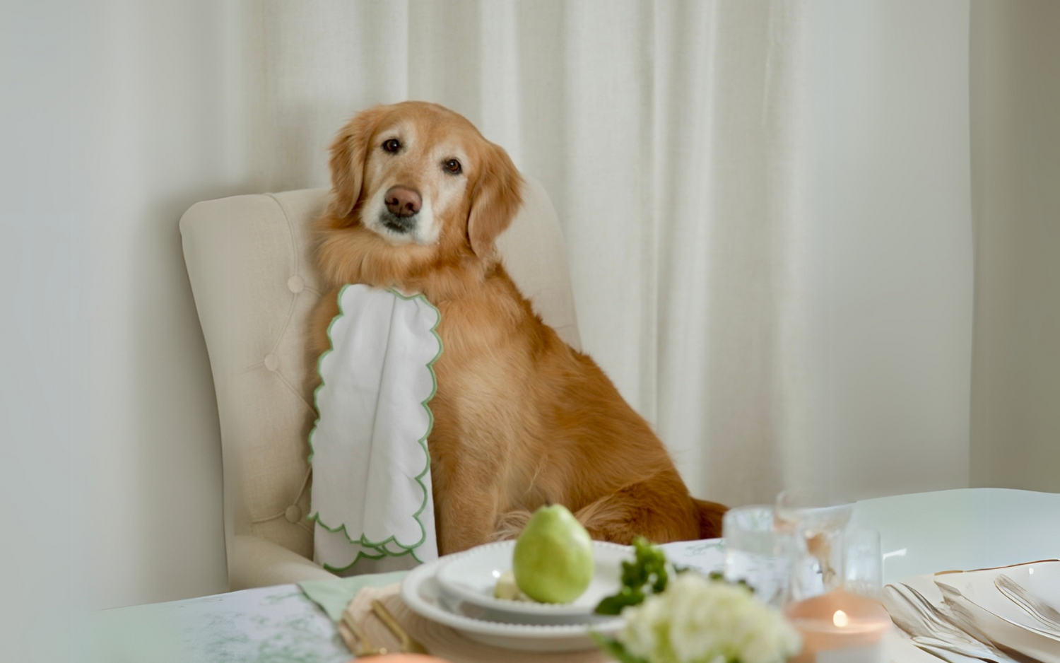 Dogue: The Spring Issue