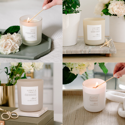 Bestsellers Bundle