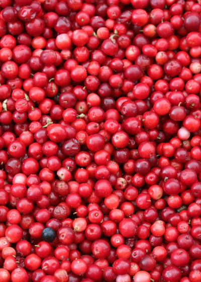 Fruity & Effervescent