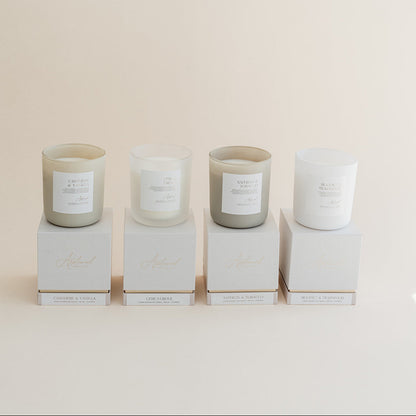Bestsellers Bundle