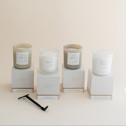 Bestsellers Bundle