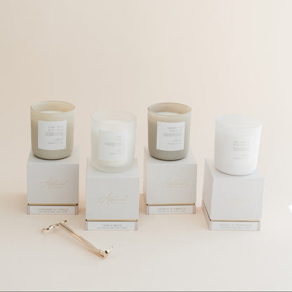 Bestsellers Bundle