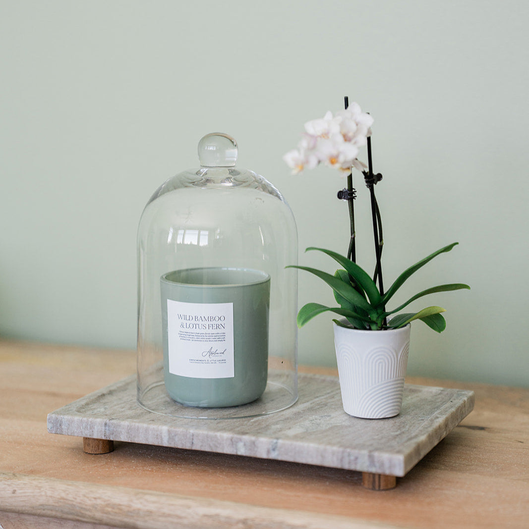 Wild Bamboo & Lotus Fern | Luxury Home Fragrance